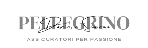 Agenzia di Assicurazioni Palermo
